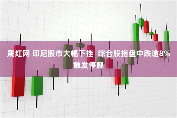 晟红网 印尼股市大幅下挫  综合股指盘中跌逾8%触发停牌